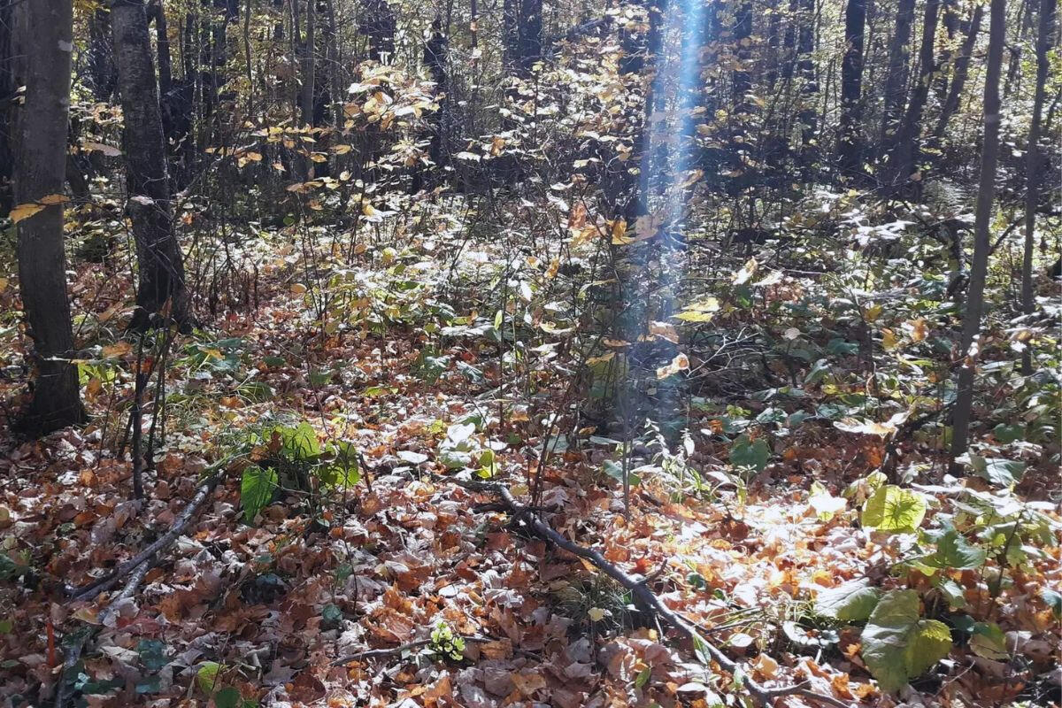 Next to Golf Course w/Camper - Golf Cir, Garrison, MN 56450, USA