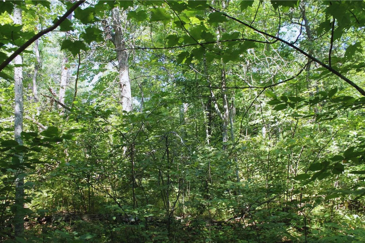 Next to Golf Course w/Camper - Golf Cir, Garrison, MN 56450, USA